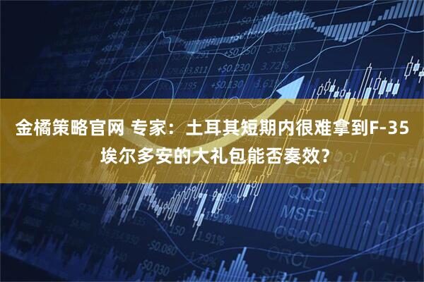 金橘策略官网 专家：土耳其短期内很难拿到F-35 埃尔多安的大礼包能否奏效？